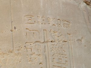Photo »D05_6923« of the Edfu-Project.