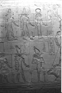 Photo »1370« aus dem Edfu-Projekt.