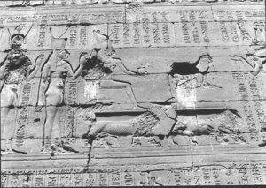 Photo »1467« aus dem Edfu-Projekt.
