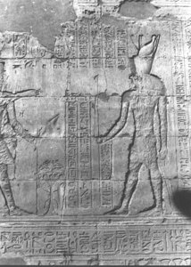 Photo »2806« aus dem Edfu-Projekt.