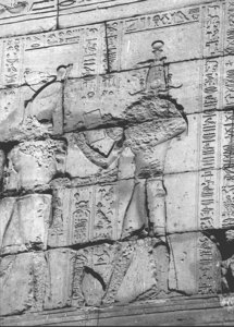 Photo »3544« aus dem Edfu-Projekt.
