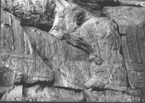 Photo »3578« aus dem Edfu-Projekt.