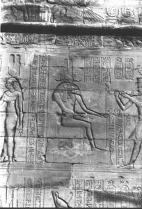 Photo »395« aus dem Edfu-Projekt.