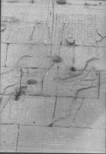 Photo »856« aus dem Edfu-Projekt.