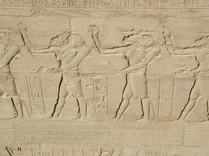 Photo »D03_0891« aus dem Edfu-Projekt.