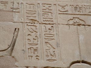 Photo »D05_3412« aus dem Edfu-Projekt.