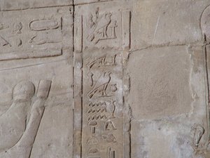 Photo »D05_5422« of the Edfu-Project.