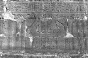 Photo »237« aus dem Edfu-Projekt.