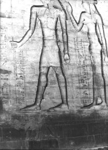 Photo »2931« aus dem Edfu-Projekt.