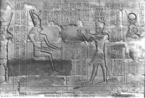 Photo »349« aus dem Edfu-Projekt.