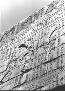 Photo »3550« aus dem Edfu-Projekt.