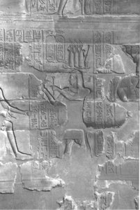 Photo »4190« aus dem Edfu-Projekt.