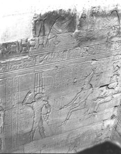 Photo »3035« aus dem Edfu-Projekt.