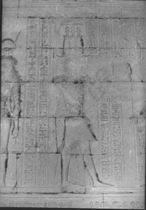 Photo »751« of the Edfu-Project.