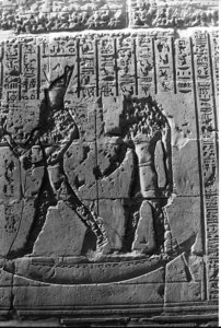 Photo »1345« aus dem Edfu-Projekt.
