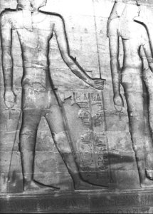 Photo »2910« aus dem Edfu-Projekt.