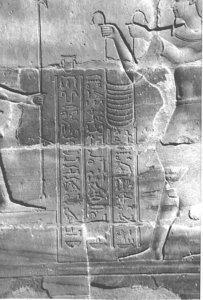 Photo »4137« aus dem Edfu-Projekt.
