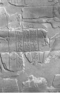 Photo »4196« aus dem Edfu-Projekt.