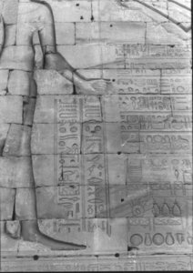 Photo »1050« aus dem Edfu-Projekt.