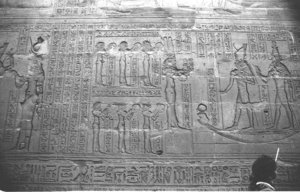 Photo »1164« aus dem Edfu-Projekt.
