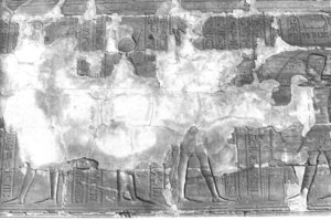 Photo »312« aus dem Edfu-Projekt.