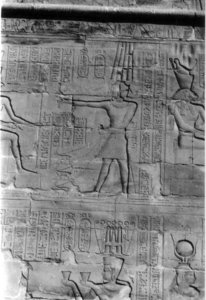 Photo »414« aus dem Edfu-Projekt.
