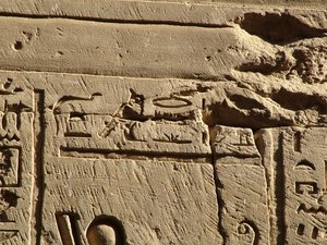 Photo »D05_0593« aus dem Edfu-Projekt.