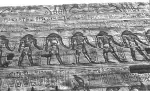 Photo »1506« aus dem Edfu-Projekt.