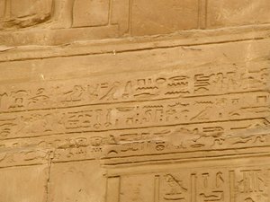 Photo »D05_2083« aus dem Edfu-Projekt.