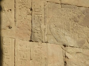 Photo »D05_3873« of the Edfu-Project.