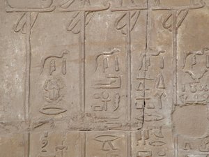 Photo »D05_5509« of the Edfu-Project.