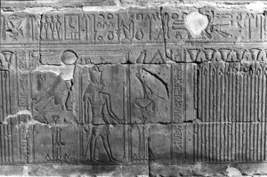 Photo »222« aus dem Edfu-Projekt.