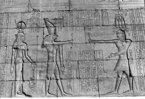 Photo »251« aus dem Edfu-Projekt.