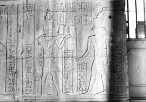 Photo »2706« aus dem Edfu-Projekt.