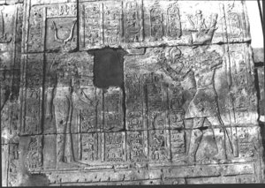 Photo »3188« aus dem Edfu-Projekt.