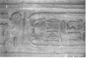 Photo »3761« aus dem Edfu-Projekt.