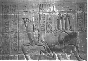 Photo »4051« aus dem Edfu-Projekt.
