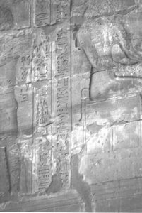 Photo »4222« aus dem Edfu-Projekt.