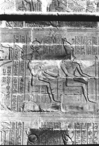 Photo »449« aus dem Edfu-Projekt.