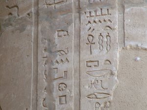 Photo »D05_5822« of the Edfu-Project.
