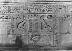 Photo »2022« aus dem Edfu-Projekt.