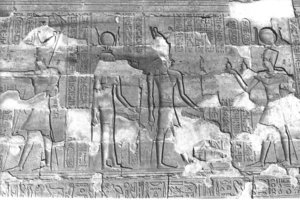 Photo »289« aus dem Edfu-Projekt.