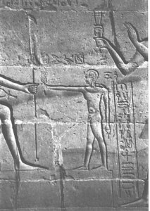 Photo »3992« aus dem Edfu-Projekt.