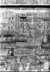 Photo »464« aus dem Edfu-Projekt.