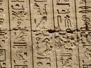 Photo »D05_2159« aus dem Edfu-Projekt.