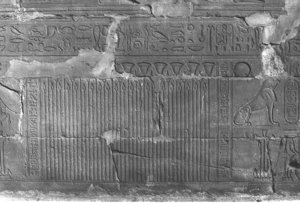 Photo »228« aus dem Edfu-Projekt.