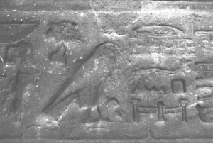 Photo »3876« aus dem Edfu-Projekt.