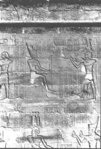 Photo »409« aus dem Edfu-Projekt.
