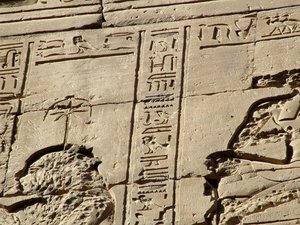 Photo »D05_1100« aus dem Edfu-Projekt.