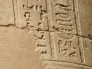 Photo »D05_6888« of the Edfu-Project.